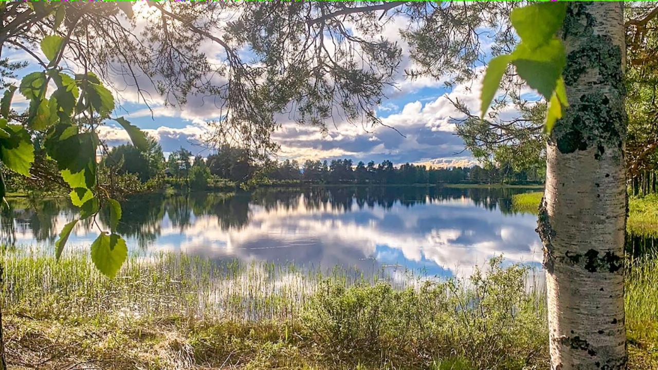Trollforsen Camping & Cottages Gargnäs Kültér fotó